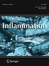 Inflammation期刊封面